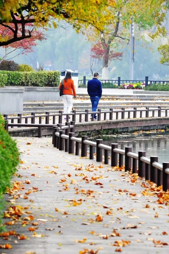 一些人在湖边的小径上走