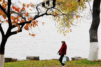 一位老人穿着外套和帽子在公园里遛狗 公园附近有水体。