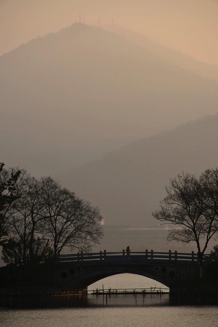 临水照山