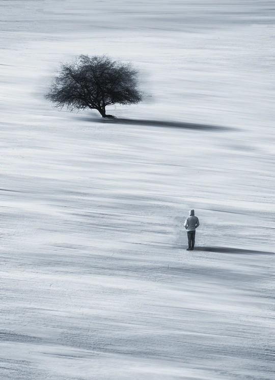 在一个雪景中 一棵孤独的树矗立着 一个人穿过雪地。