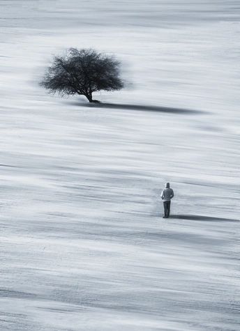 在一个雪景中 一棵孤独的树矗立着 一个人穿过雪地。