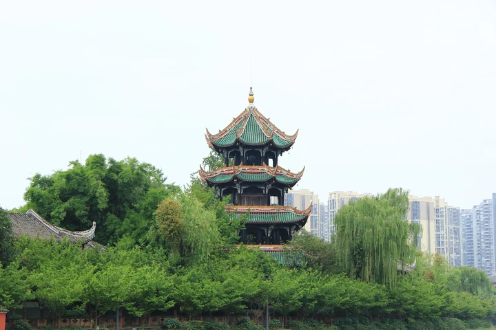 锦江河畔的望江楼