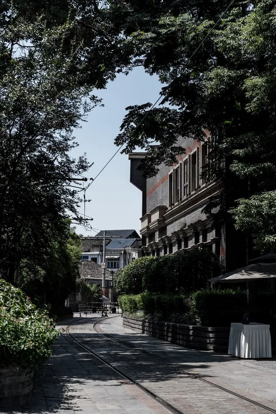 一条街道 城市中有树木和建筑