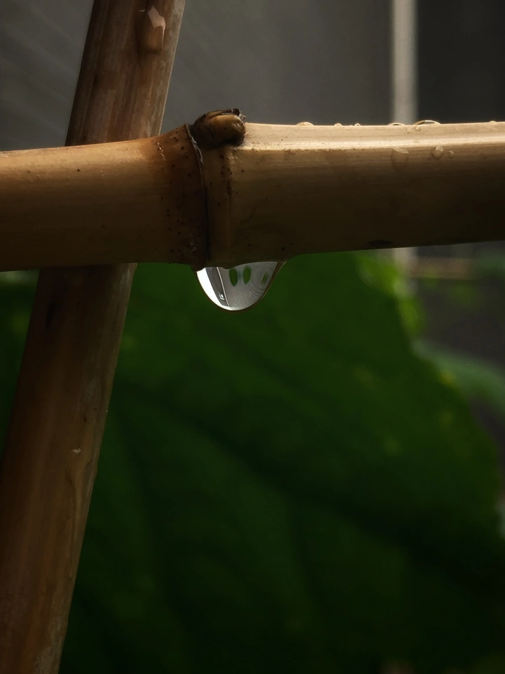 悬。