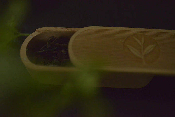 世间草木皆美，你也是。