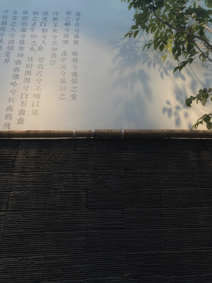 疏影