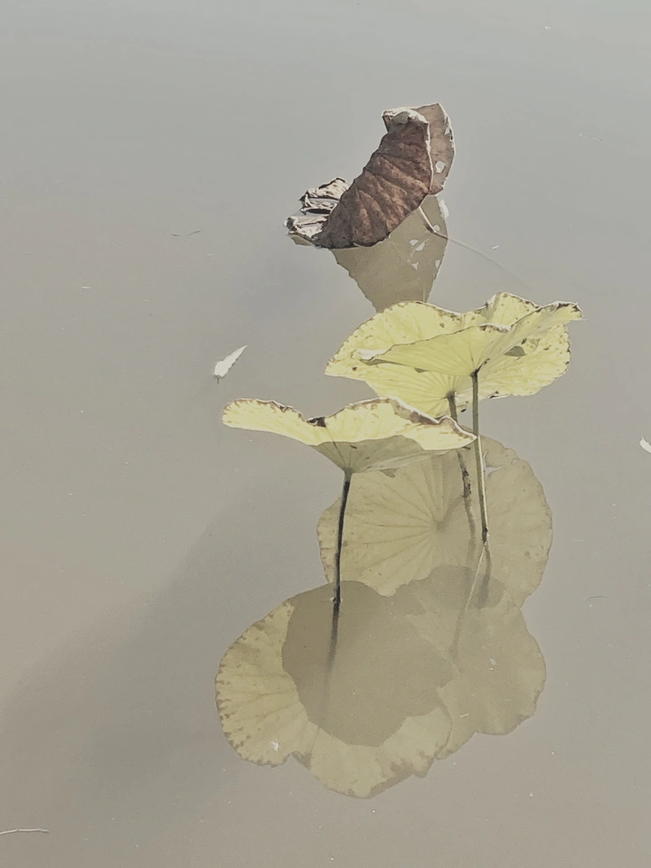 暮年