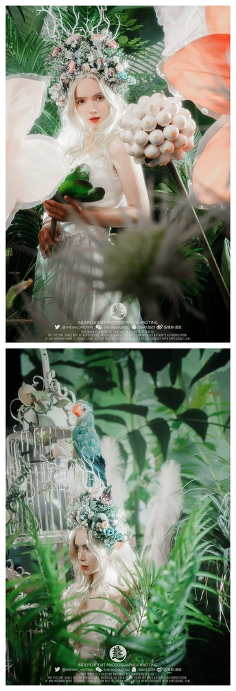 一幅穿着白裙子的女人与鸟和花一同的画