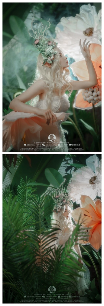 一位带有花和植物的女士的图像