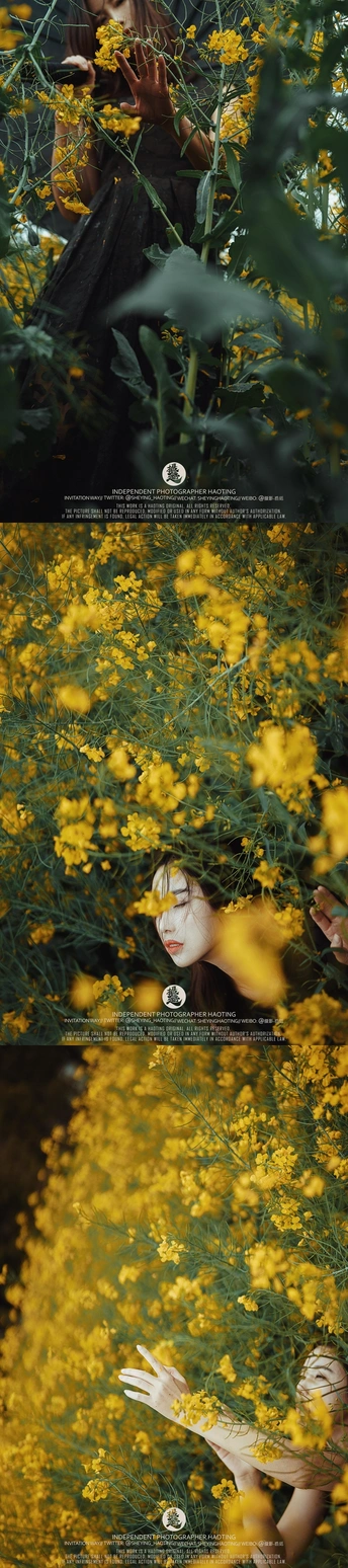 黄色花田中的女性数字艺术