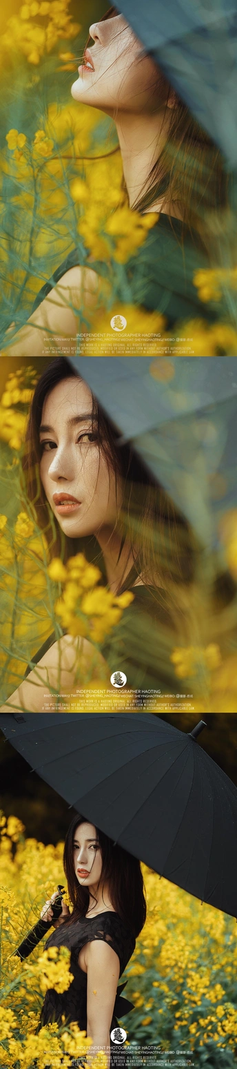 一张女人在黄花丛中举着黑色雨伞的照片
