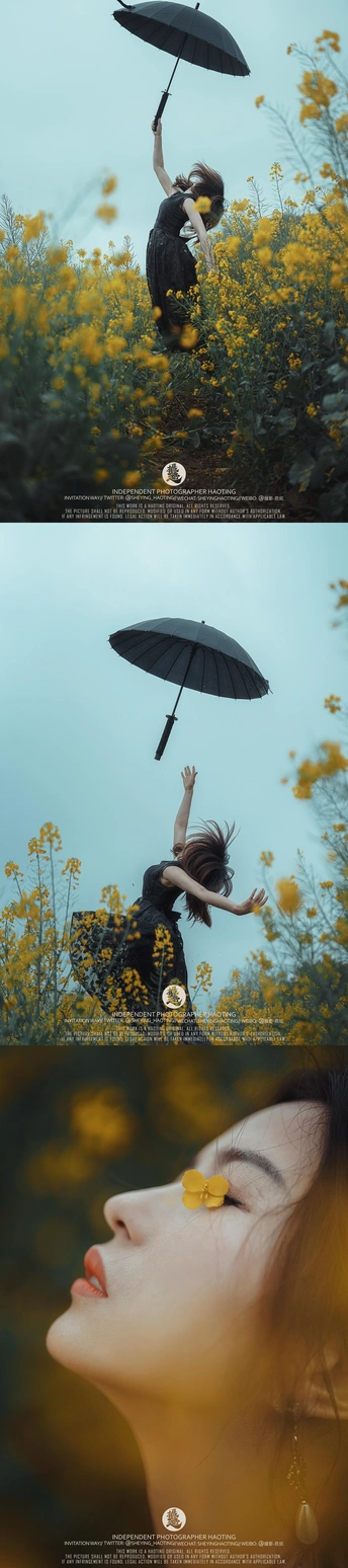 一位女士在黄花的田野中拿着一把伞