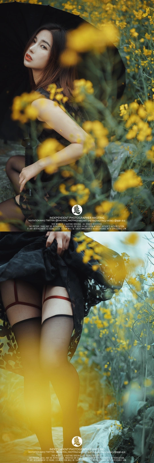 一位穿着黑色连衣裙 手持雨伞 站在黄色花丛中的女人