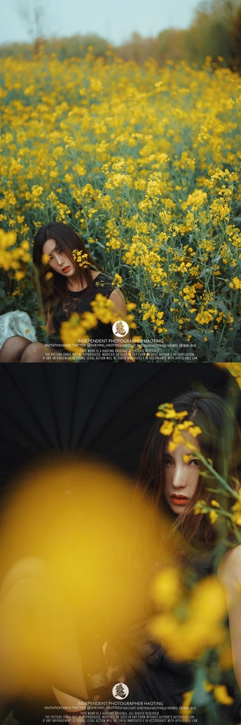 一位女士手持黑色雨伞 置身于黄花的田野中。
