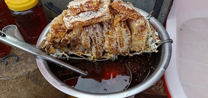 土蜂蜜