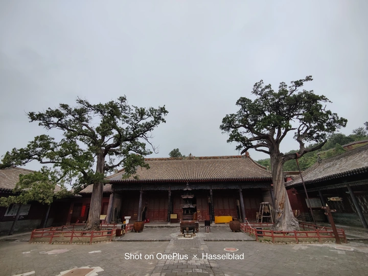 《迎来送往》