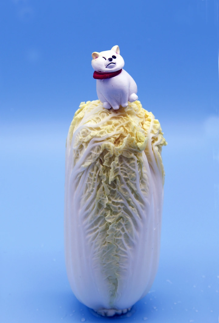 关于白菜的微视界