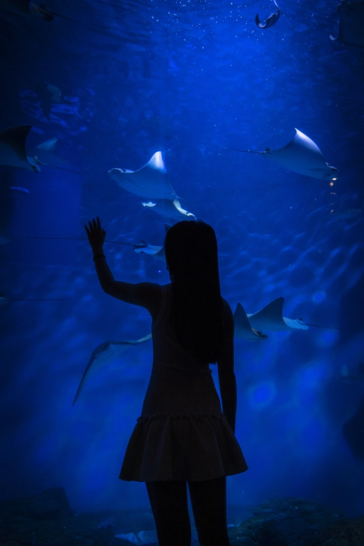 Aquarium
