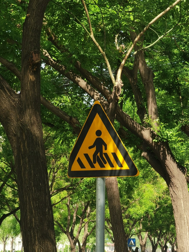 五一的阳光格外好看呢？#