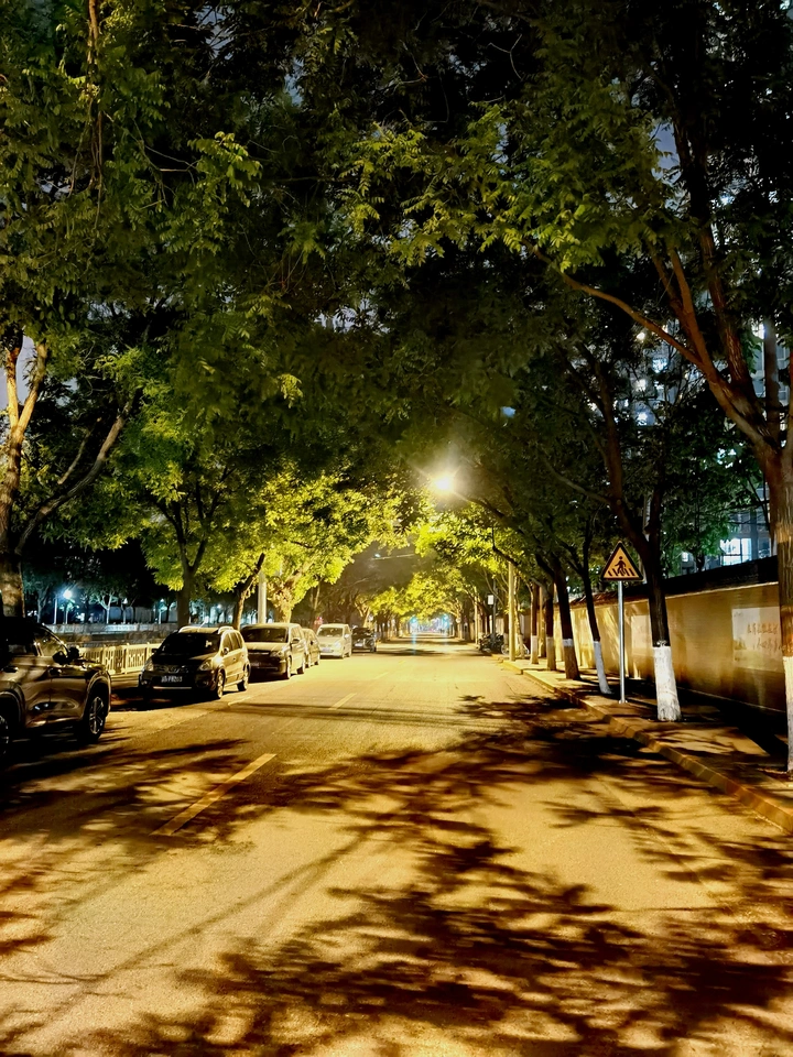 安静的街道的夜