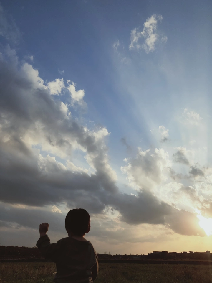 成长在阳光下