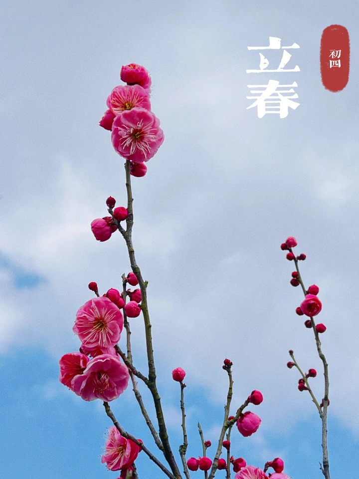虎年大吉