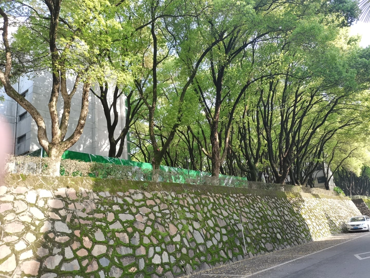 万物可爱
