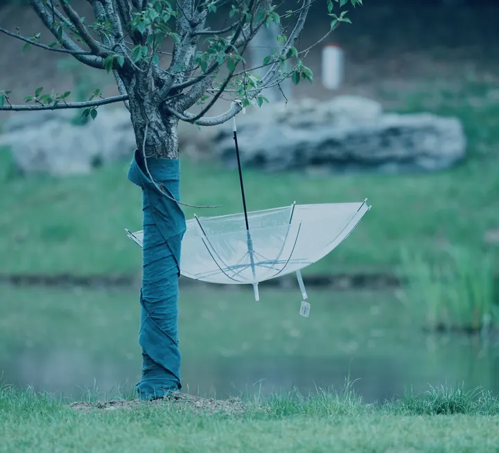 绿草如茵，小桥流水