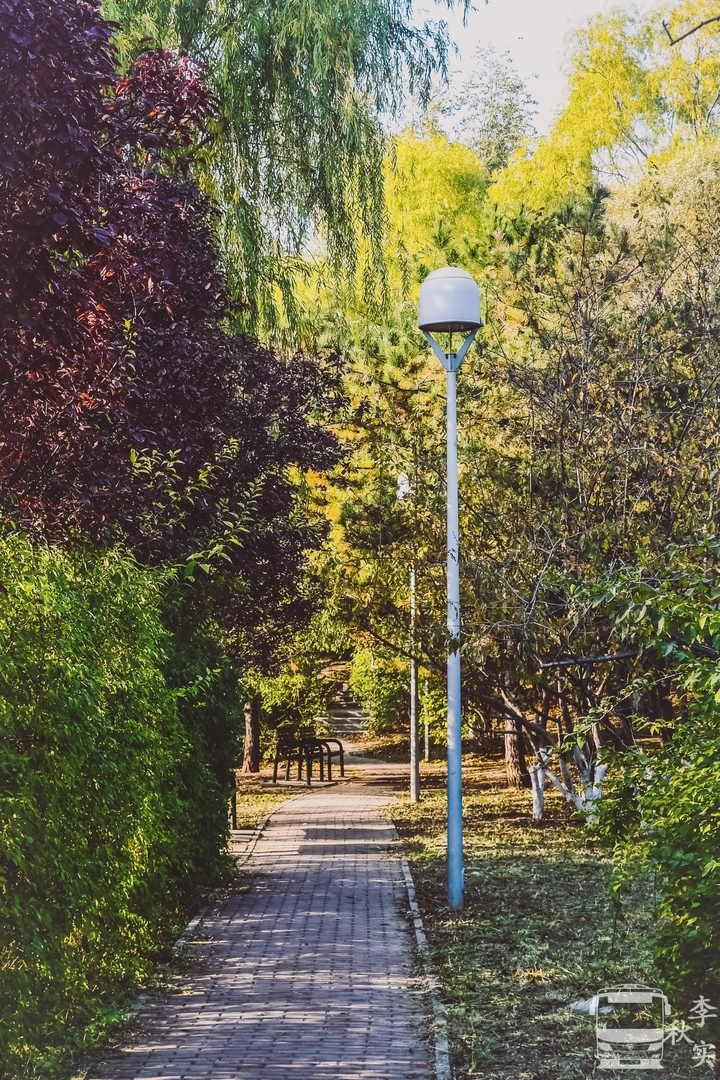 小路
