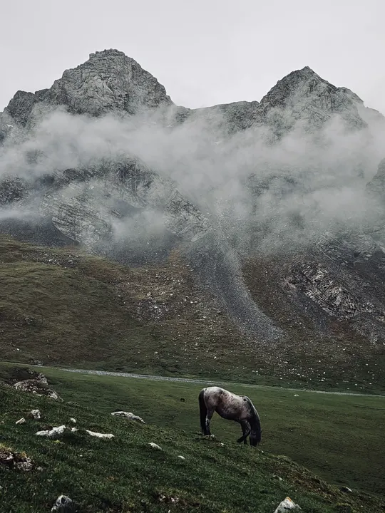 一匹马在草地上吃草 背景是山脉。