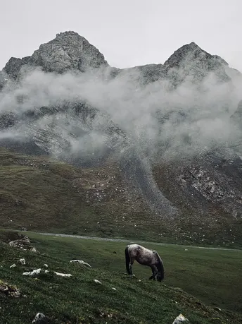 一匹马在草地上吃草 背景是山脉。