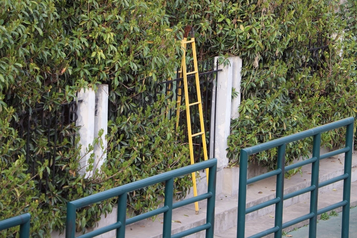 近日份水图……