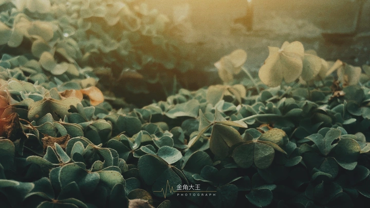 春深