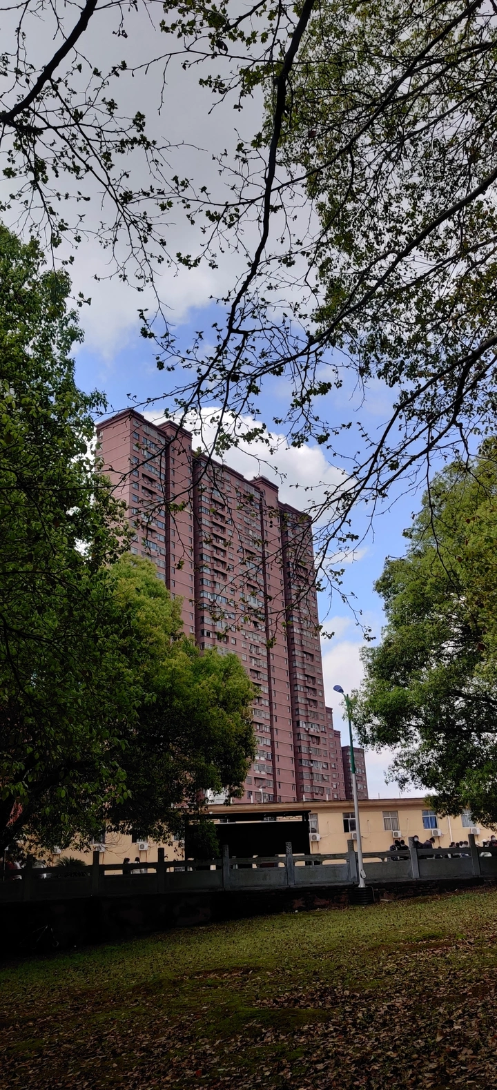 疫情下的学校
