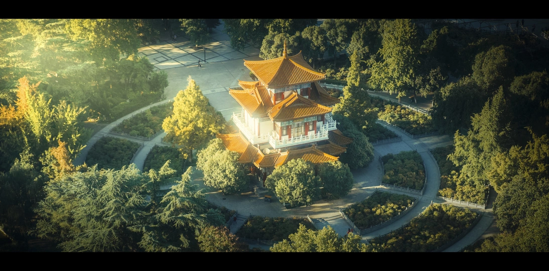 森林中的大佛塔