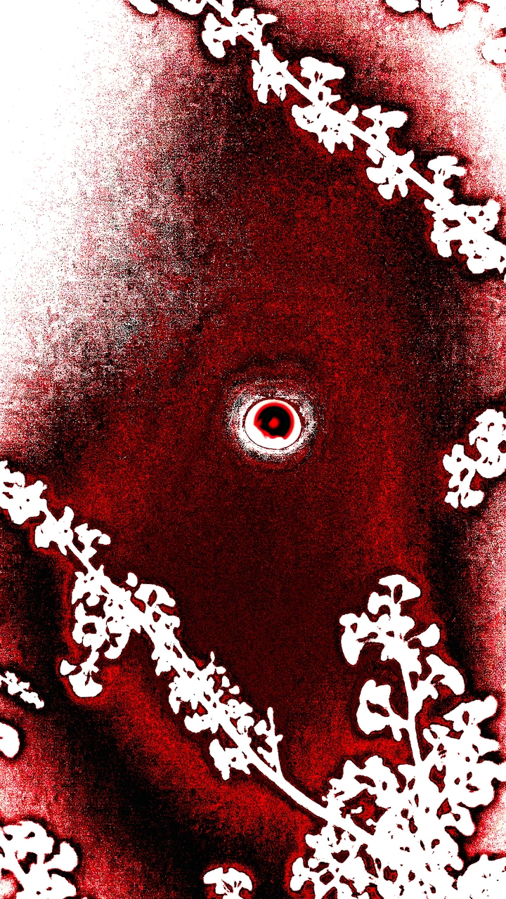 异瞳