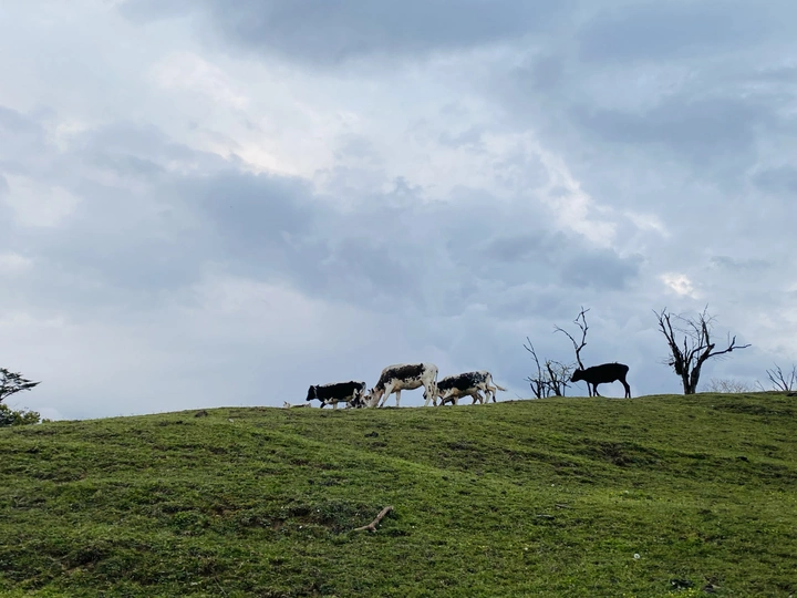贡嘎周边，川西风光