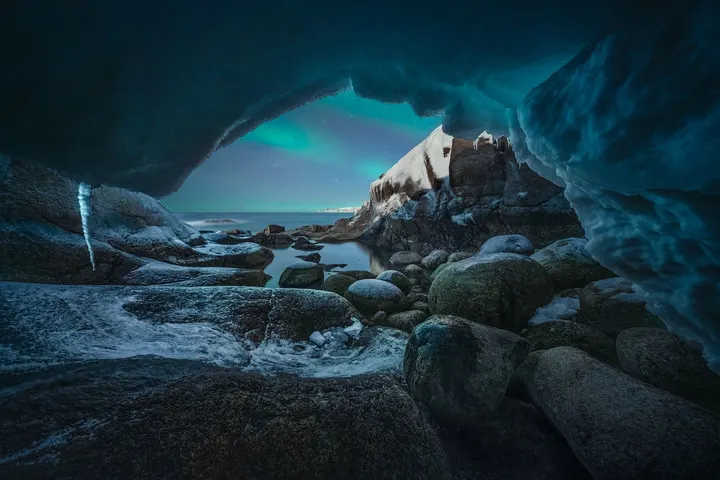 北极龙巢
