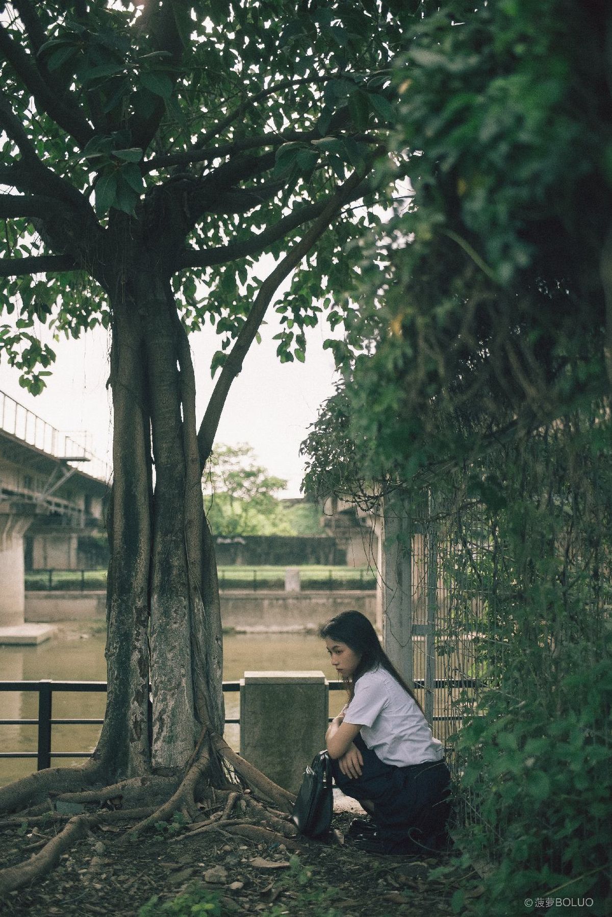 一位年轻女子坐在河边的树下 背景中有桥。