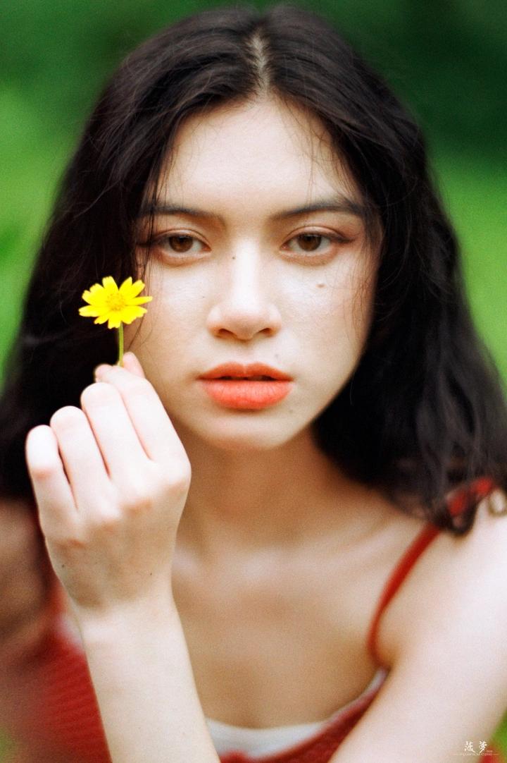 一杯菊花茶