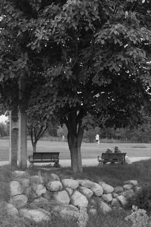 一张黑白照片 公园里一个人坐在长凳上 几棵树。