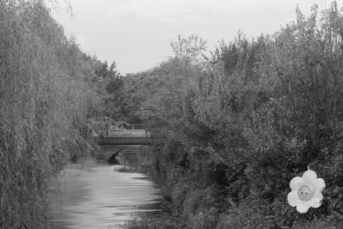 一张黑白照片 描绘了一条小河 河岸上有树木、灌木和一座桥。