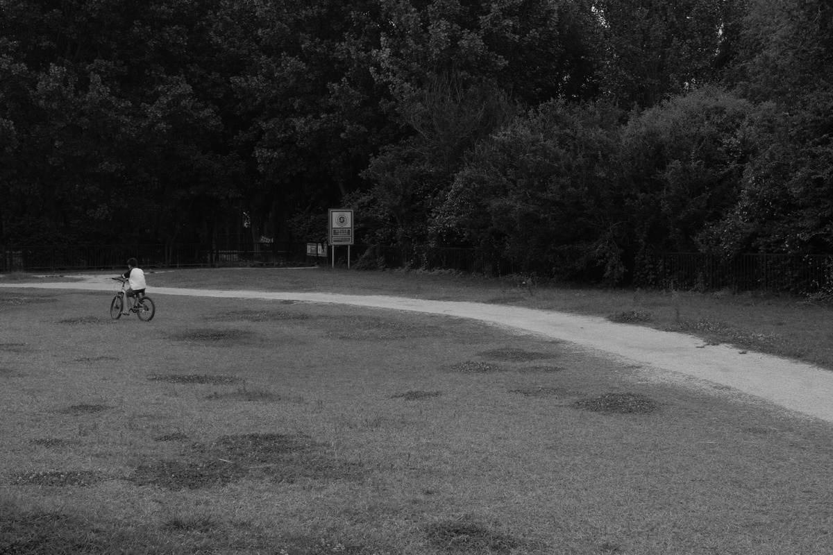 一张黑白照片 一个人在公园的小径上骑自行车。