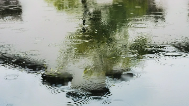 花雨