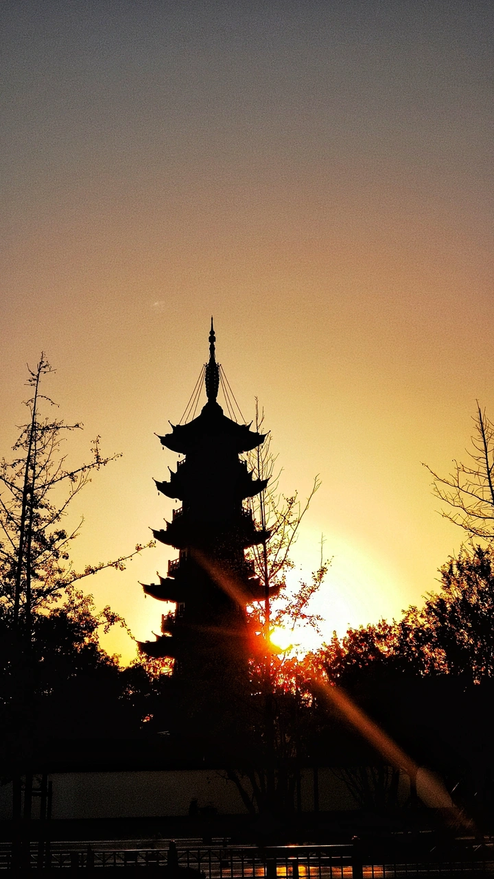 龙华塔下观日落