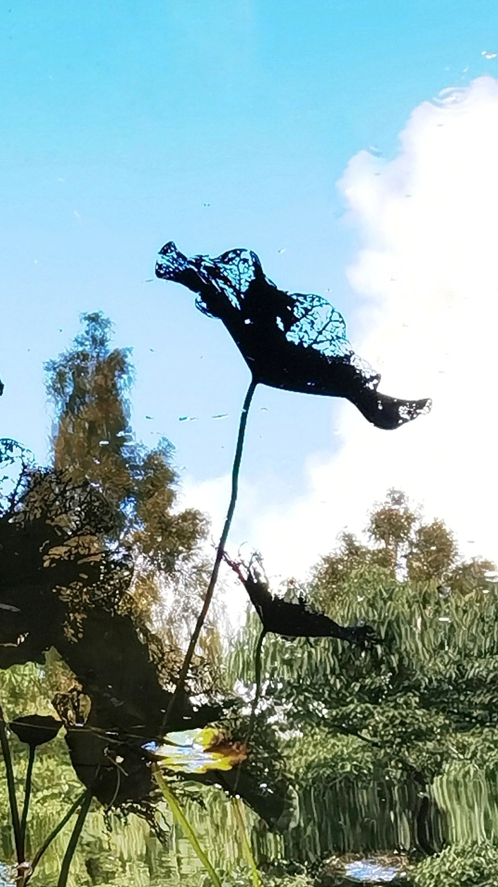 荷