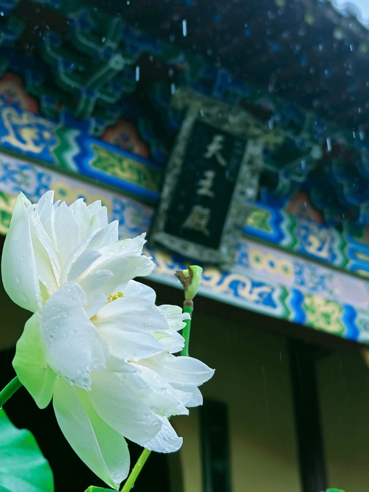 禅意