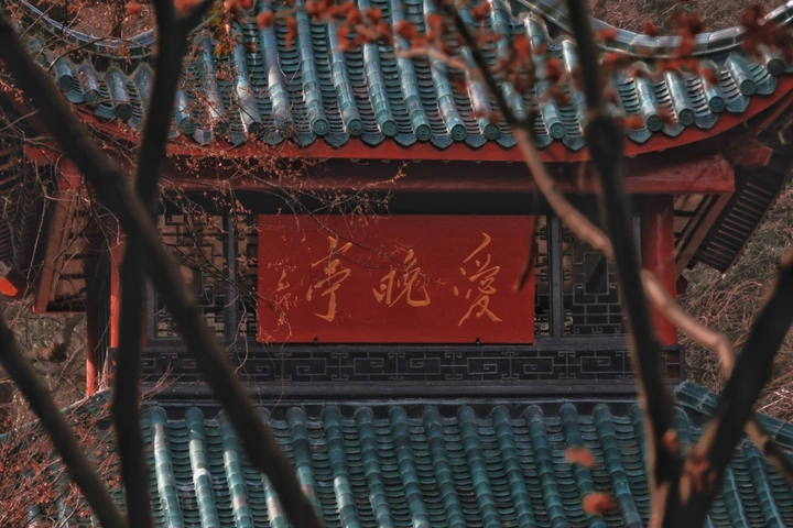爱晚亭