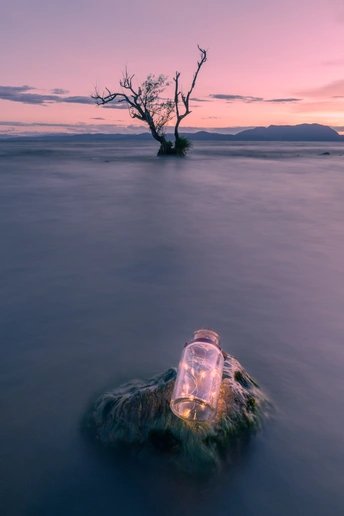 日落时 一个装着蜡烛的小瓶漂浮在湖面上 背景是一棵枯树
