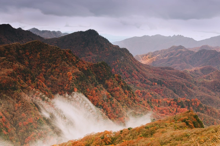 层林尽染光雾山